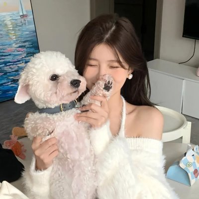蜗牛的策略