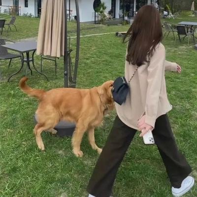 玉笑珠香